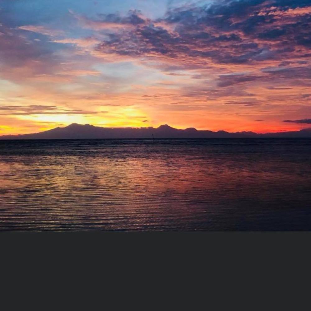 Meet your Posher, Pepper